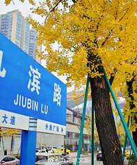 �ű�·�ġ����������������ˣ��칫�Ҵ����������������Ľ�ɫ����
