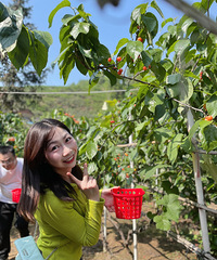 91160CMҵС飬ϣԷ87~94