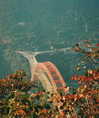 һҲҪúùÿһ죬ͽɽǡϿ֮