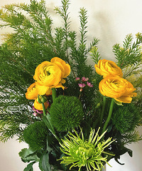 ֱ��������ʻ����ˣ�200��޴���Ͱ