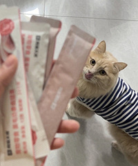 ��������èϲ���Ե�С��ʳ