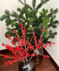 ���������Ļ�����ϣ�������ŵ����+��������