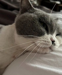����һ�η������ĵ�˵�����Ҹ���������ʲôʱ��
