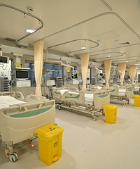 [ҽ��]�����е�������ҽԺ˳����������Ǩ��ԭ���˽�Ƭ��