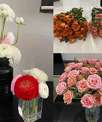 ��������ĵ������ͷõ�壬Ʒ�ʲβ��