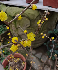 �����ϰ�˵���������ȣ���÷֦�����٣��۸��ر��