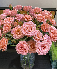 ֱ������ʻ�Ʒ�ֲβ��