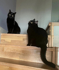 ��è�вƱ�а����������ֻ