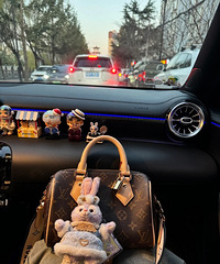 年终礼物买了LV speedy20,犒劳自己