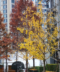 �ź�Ҽ���͍o�������ͷ׵Ķ���