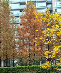 �ź�Ҽ���͍o�������ͷ׵Ķ���