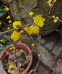 �����ϰ�˵������÷�ر��