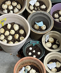 ����100��������ȿ���