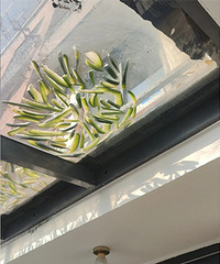 ¥���ھӰ��ܲ����������Ǽ����ⷿ���棬������