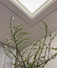 ���ŵ��ˣ�ʮ����ʮ���ѩ������������Ȼ��ô��