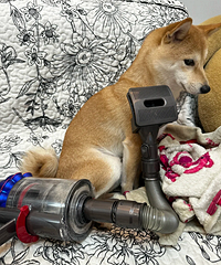 ������ͥ��ô���ָɾ�����