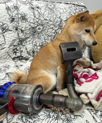 ������ͥ��ô���ָɾ����ࣿ���Ƽ����õ�������