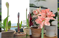 ������ڻ����춥�����ܿ��������й���ķ�Χ��