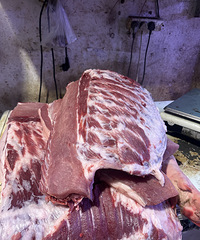 ���ڱر��ˣ��ְ��ֽ��������Źǣ�����ϸ�̳�