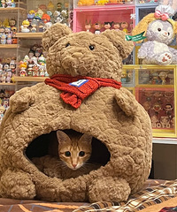 ɽķ�û����������ˣ����ϵ���Щ�����ܱ���ÿ�