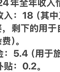 打工人2024全年收入及盈余总结