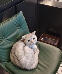 �º�������������������������+���ȵ꣬��һ��