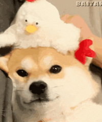 ������ֵ����ˮ���˳�������3ƿ16�������ұ�ů����29