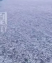 吉林一家三口坠江事件,细节曝光