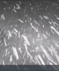 鹅毛大雪,可以堆雪人了!坐标:金佛山