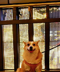 12�´�С��ȥ��4���ط���ʥ����������úܿ���