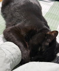 è���Ƥм�е�࣬������������Ҫ�Ե�ʲô����