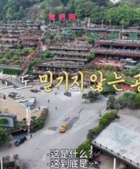 韩国“重庆火锅游”爆火