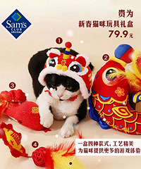 ɽķ���ϵĳ����ܱ���ÿ�