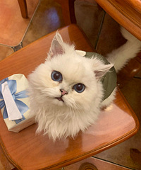 è��5����һֱ�����զ��