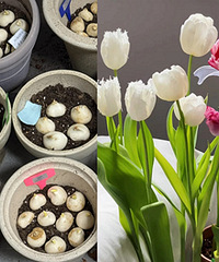 Ϊ�˴��쿴��������100������������