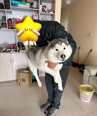 ������������ô�������صģ���ֱ�ӱ����ϳơ�����