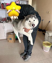 ����һ������ô�������ص�