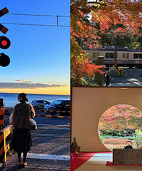 ���ֺ첻ֹ�������֣���Ҷ��ֵ��