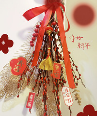 ӭ��2025�ĵ�һ�죬29�������вƻ����Ӻ���