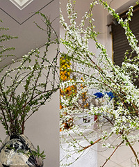 ���ŵ�����ʮ�����ѩ������Ҳ̫���˰�