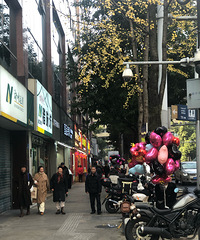 �����ű�