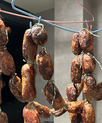 ���ڱر��ˣ��ְ��ֽ����������Ź��㳦