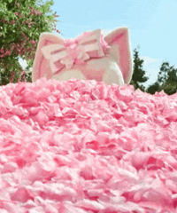 ������ֵ����Ѧ�ǳ���������39�������廨����6��19