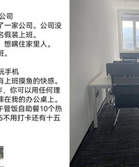 假装上班公司,自费29.9元上班