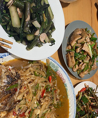 ���˶��㶳�ж��·���