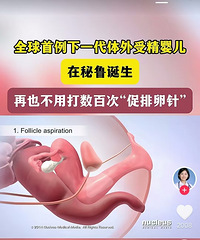 ȫ��������һ�������ܾ�Ӥ������³��������Ҳ���ô����������