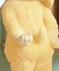 ������ֵ��������˿��˯����Ĥ20��49ά�����������װ39