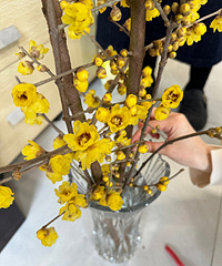 ���г�20�������÷����