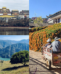 ��֦��-����-�����������֮��7����