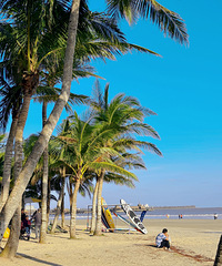 �ƾӺ��ϵġ���ԩ�֡����۸��˷�Դ������������